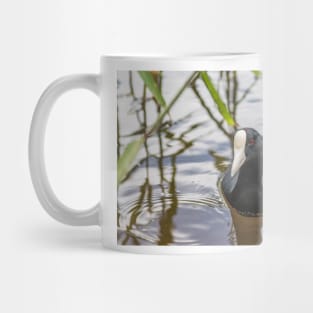 Hawaiian coot of  Honolulu 3 Mug